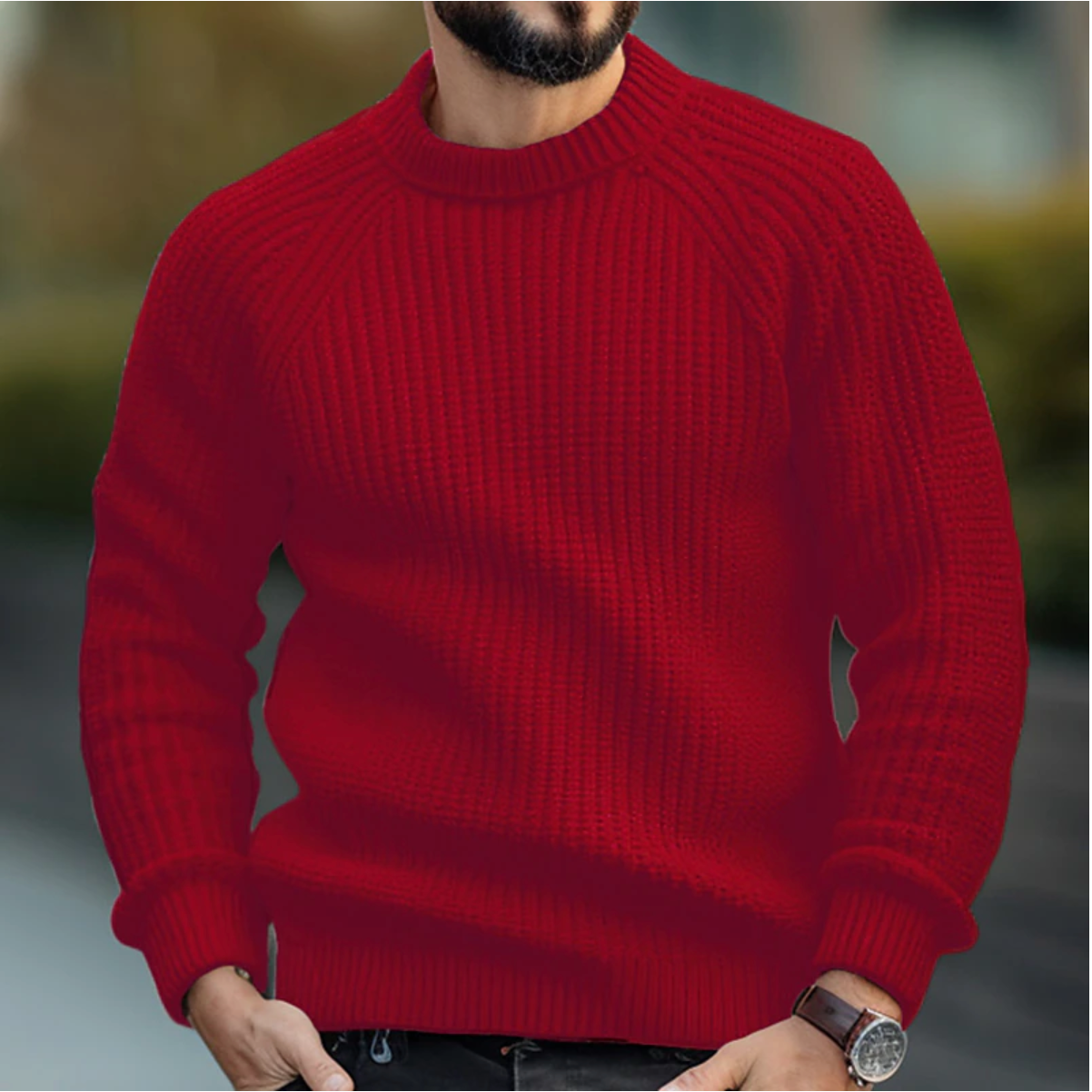 Peter | Herfst/Winter Sweater voor Heren